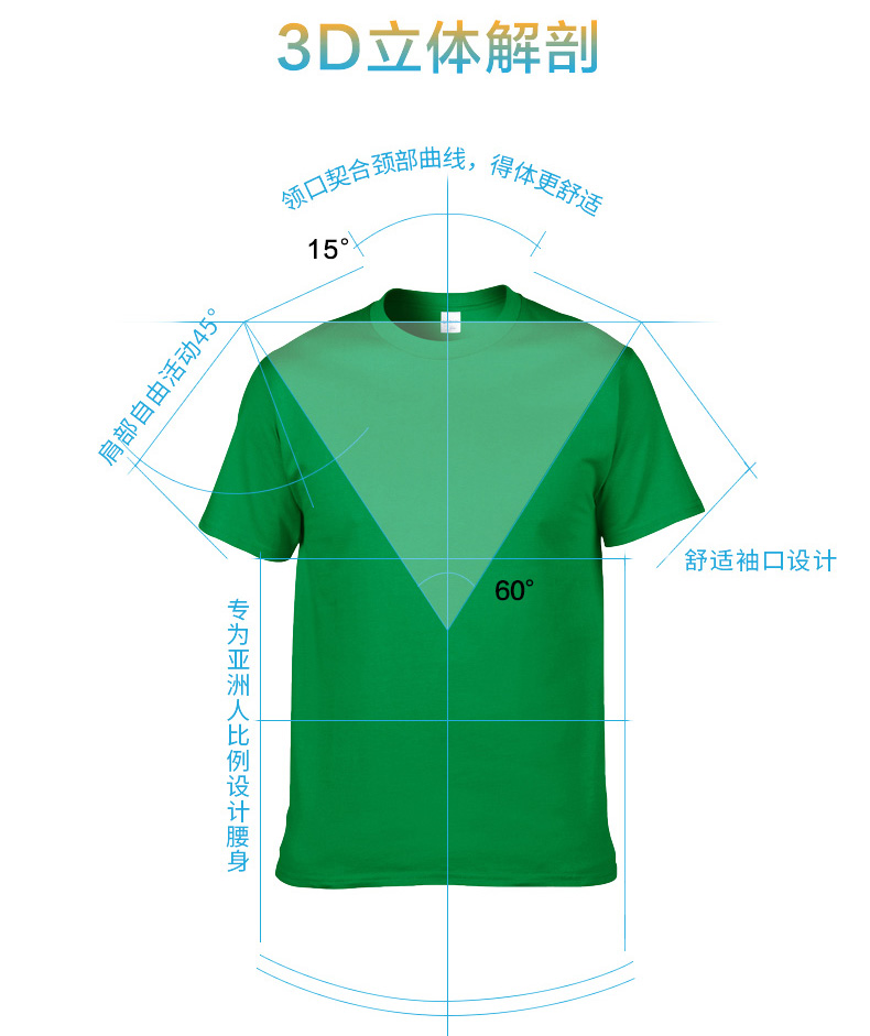 文化衫定制3D解剖圖